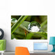 Bubble Roller Coaster Wall Decal