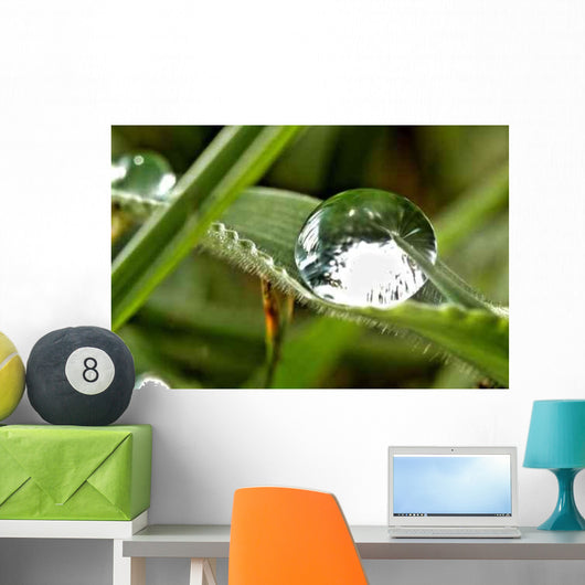 Bubble Roller Coaster Wall Decal