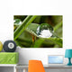Bubble Roller Coaster Wall Decal