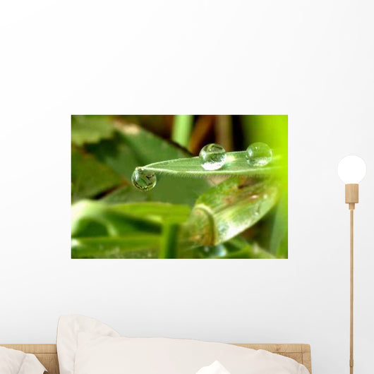 Clinging Droplet Wall Decal