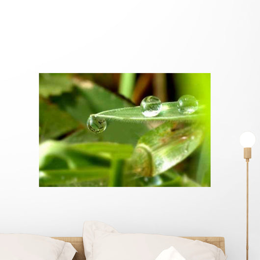 Clinging Droplet Wall Decal