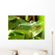 Clinging Droplet Wall Decal