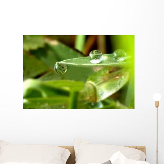 Clinging Droplet Wall Decal