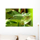 Clinging Droplet Wall Decal