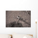 Leopard In A Tree Wall Mural