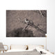 Leopard In A Tree Wall Mural
