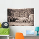 Elephants Walking In A Row Wall Mural