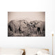 Two Elephants With Their Trunks Touching Wall Mural