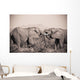 Two Elephants With Their Trunks Touching Wall Mural