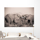 Two Elephants With Their Trunks Touching Wall Mural