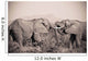 Two Elephants With Their Trunks Touching Wall Mural