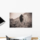 An Elephant Walking In The Bush Wall Mural