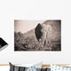 An Elephant Walking In The Bush Wall Mural