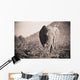 An Elephant Walking In The Bush Wall Mural