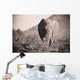 An Elephant Walking In The Bush Wall Mural