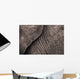 Close-Up Of An Elephant's Skin Wall Mural