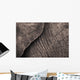 Close-Up Of An Elephant's Skin Wall Mural