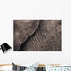 Close-Up Of An Elephant's Skin Wall Mural