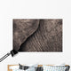 Close-Up Of An Elephant's Skin Wall Mural