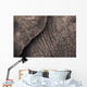 Close-Up Of An Elephant's Skin Wall Mural