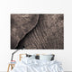 Close-Up Of An Elephant's Skin Wall Mural