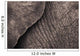 Close-Up Of An Elephant's Skin Wall Mural