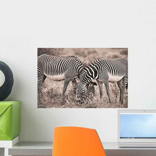Two Zebras Grazing Together Wall Mural