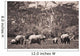 A Group Of Elephants Wall Mural