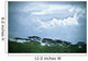 Trees Under A Cloudy Sky Wall Mural