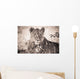 A Lioness Lays In The Shade Wall Mural