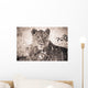 A Lioness Lays In The Shade Wall Mural