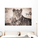 A Lioness Lays In The Shade Wall Mural