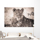 A Lioness Lays In The Shade Wall Mural