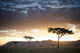 Trees And Animals Across An African Landscape At Sunset Wall Mural