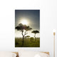 An Elephant Walks Among The Trees Wall Mural