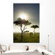 An Elephant Walks Among The Trees Wall Mural