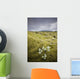 A White Wildflower Growing On A Rugged Landscape Wall Mural