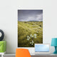 A White Wildflower Growing On A Rugged Landscape Wall Mural