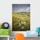 A White Wildflower Growing On A Rugged Landscape Wall Mural