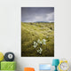 A White Wildflower Growing On A Rugged Landscape Wall Mural
