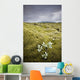 A White Wildflower Growing On A Rugged Landscape Wall Mural