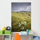 A White Wildflower Growing On A Rugged Landscape Wall Mural