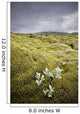 A White Wildflower Growing On A Rugged Landscape Wall Mural