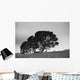 Silhouette Of A Tree With Sheep Standing Underneath Wall Mural