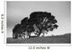 Silhouette Of A Tree With Sheep Standing Underneath Wall Mural