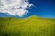 Wooden Fence Posts Running Through A Grassy Field Wall Mural