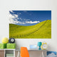 Wooden Fence Posts Running Through A Grassy Field Wall Mural