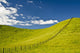 Wooden Fence Posts Running Through A Grassy Field Wall Mural