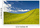 Wooden Fence Posts Running Through A Grassy Field Wall Mural