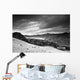 A Forest Area Along The Coast Under A Dark Cloudy Sky Wall Mural